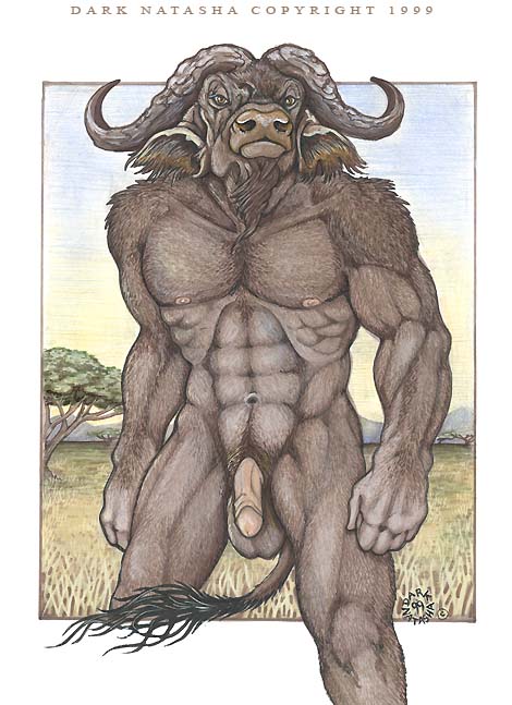 1990s 1999 20th_century 5_fingers anthro balls bovine brown_eyes buffalo closed_mouth dark_natasha day flaccid front_view fur furry_ears furry_tail grass grey_fur horns humanoid_penis looking_at_viewer male male_only mammal muscles navel nipples nude open_eyes outdoors penis pinup sky solo standing tail