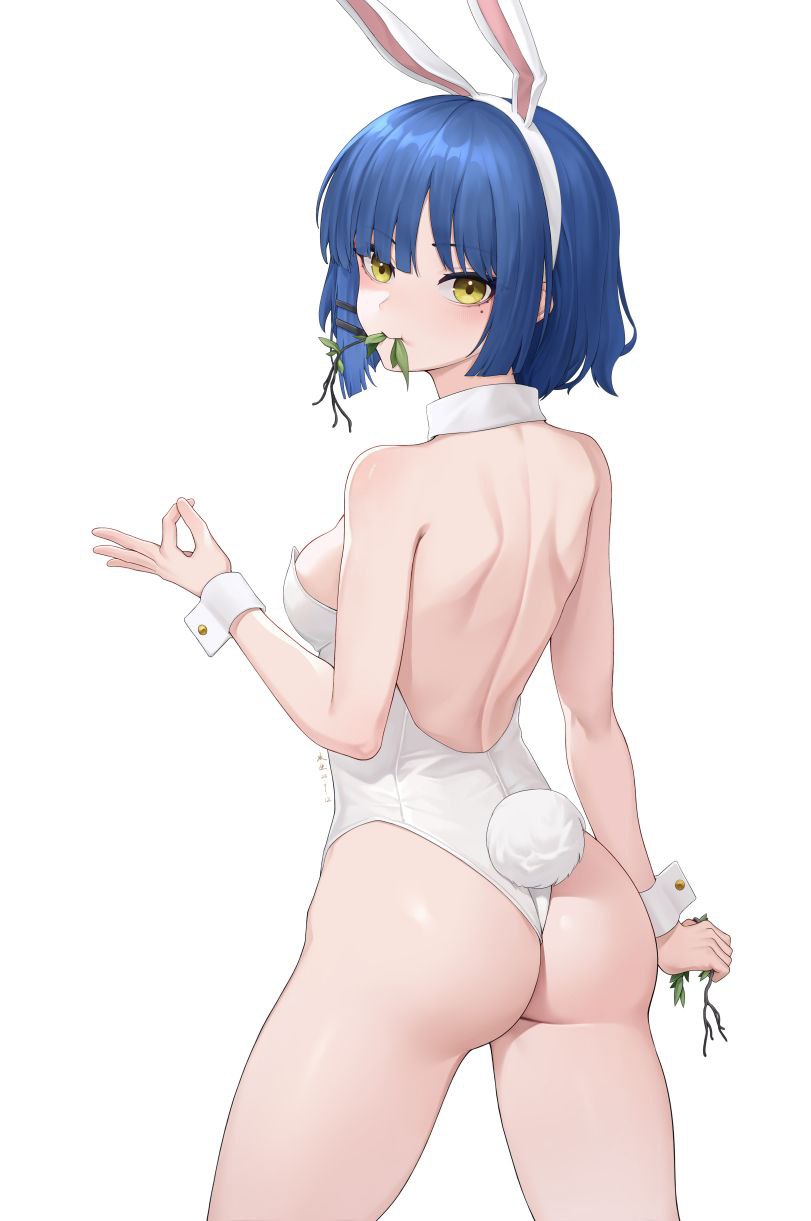 blue hair, bocchi the rock!, bunny ears, bunnysuit, female, sole female, white background, yamada ryou