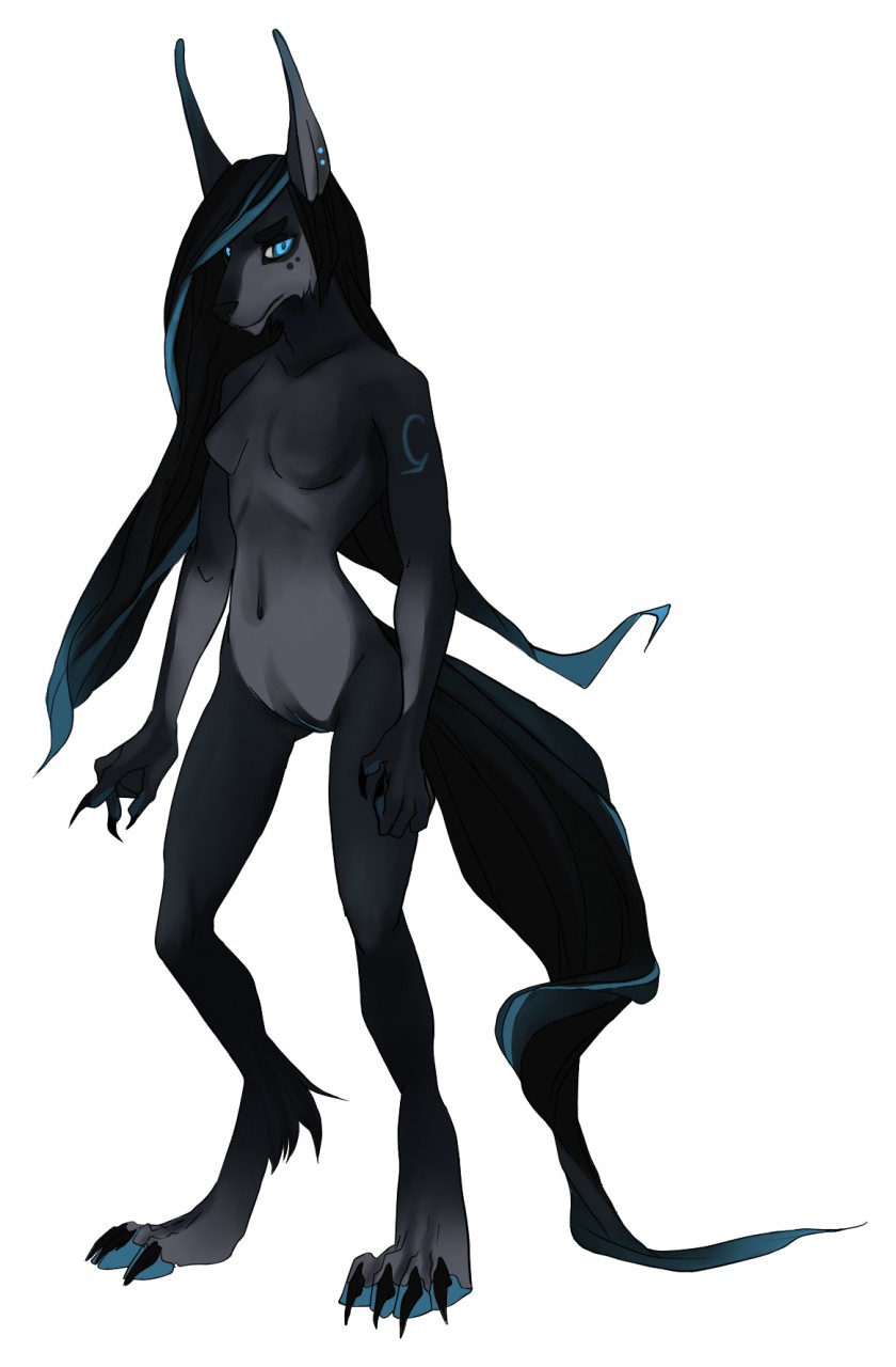 2015 akrolayn anthro black_body black_claws black_fur black_hair black_pussy black_tail blue_eyes blue_highlights blue_pawpads breasts calf_tuft canid canine claws digital_media_(artwork) featureless_breasts female full-length_portrait fur genitals geodis grey_body grey_fur hair hi_res highlights_(coloring) humanoid_hands leg_tuft long_hair mammal navel pawpads portrait pussy simple_background solo standing tail three-quarter_view toe_claws tuft white_background