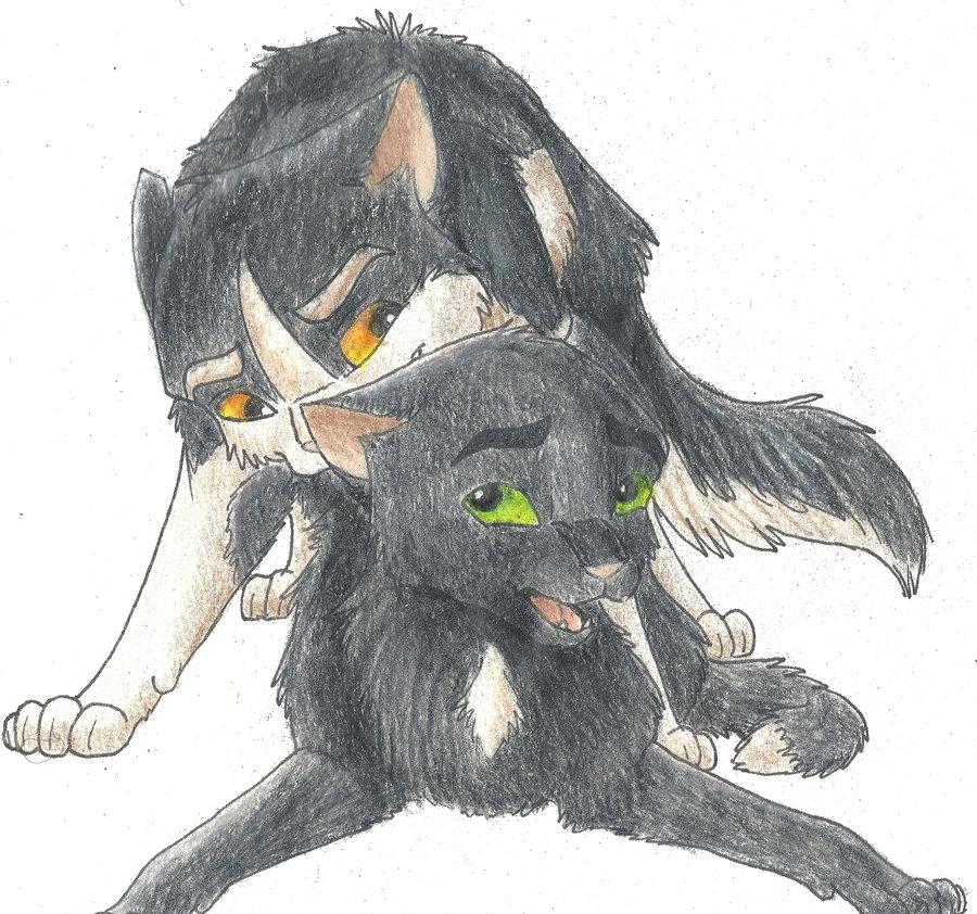 barley_(warriors) black_fur cat cute feline feral feral_on_feral first_porn_of_franchise gay gay_domination gay_sex male_only ravenpaw_(warriors) tagme warriors_(cats) yaoi