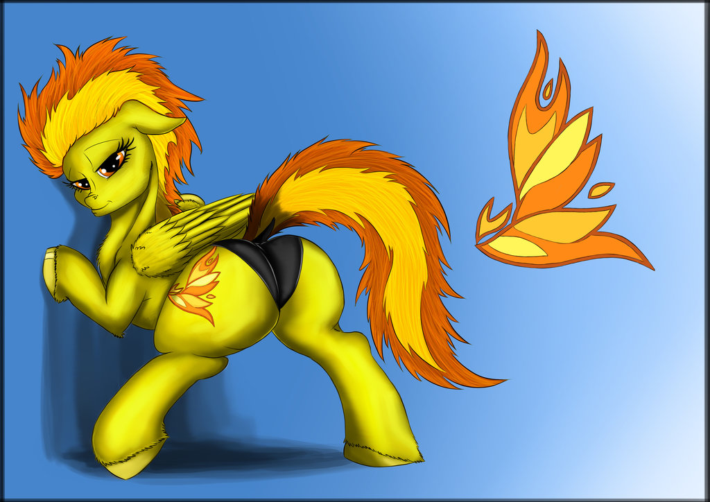 black_panties exelzior-maximus friendship_is_magic my_little_pony panties solo spitfire