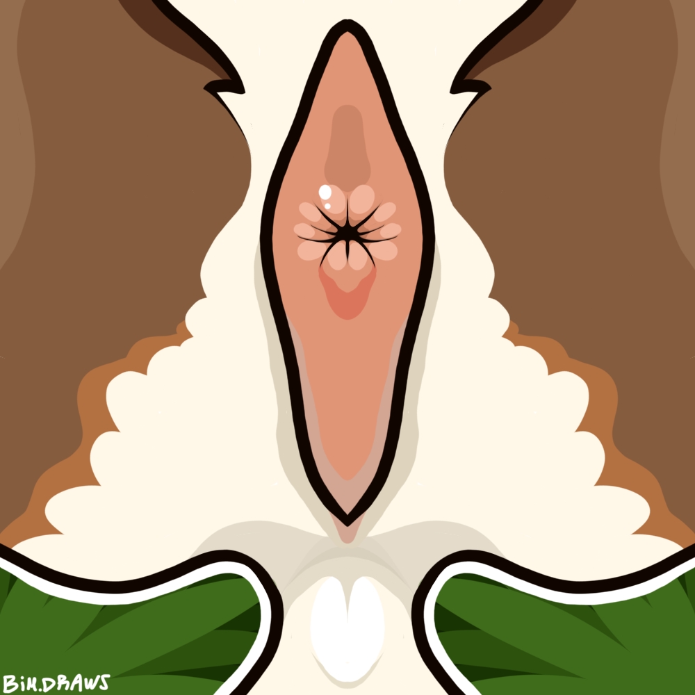 Animal Genitalia Rule 34 Image