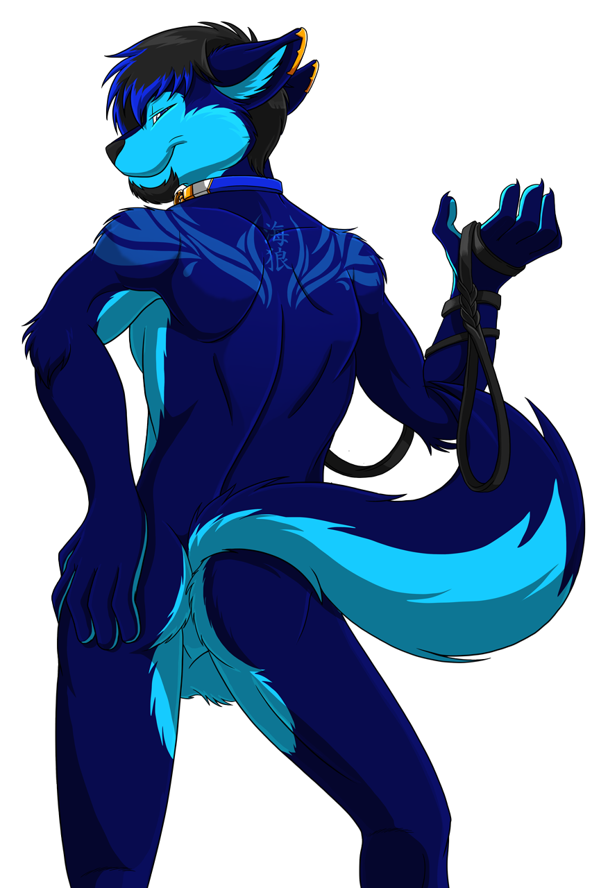 1boy alpha_channel anthro ass balls black_hair blue_eyes blue_fur blue_hair canine collar djwolf facial_hair fur goatee hair half-closed_eyes hand_on_ass leash male male_only mammal nude presenting sapphwolf simple_background smile solo transparent_background wolf