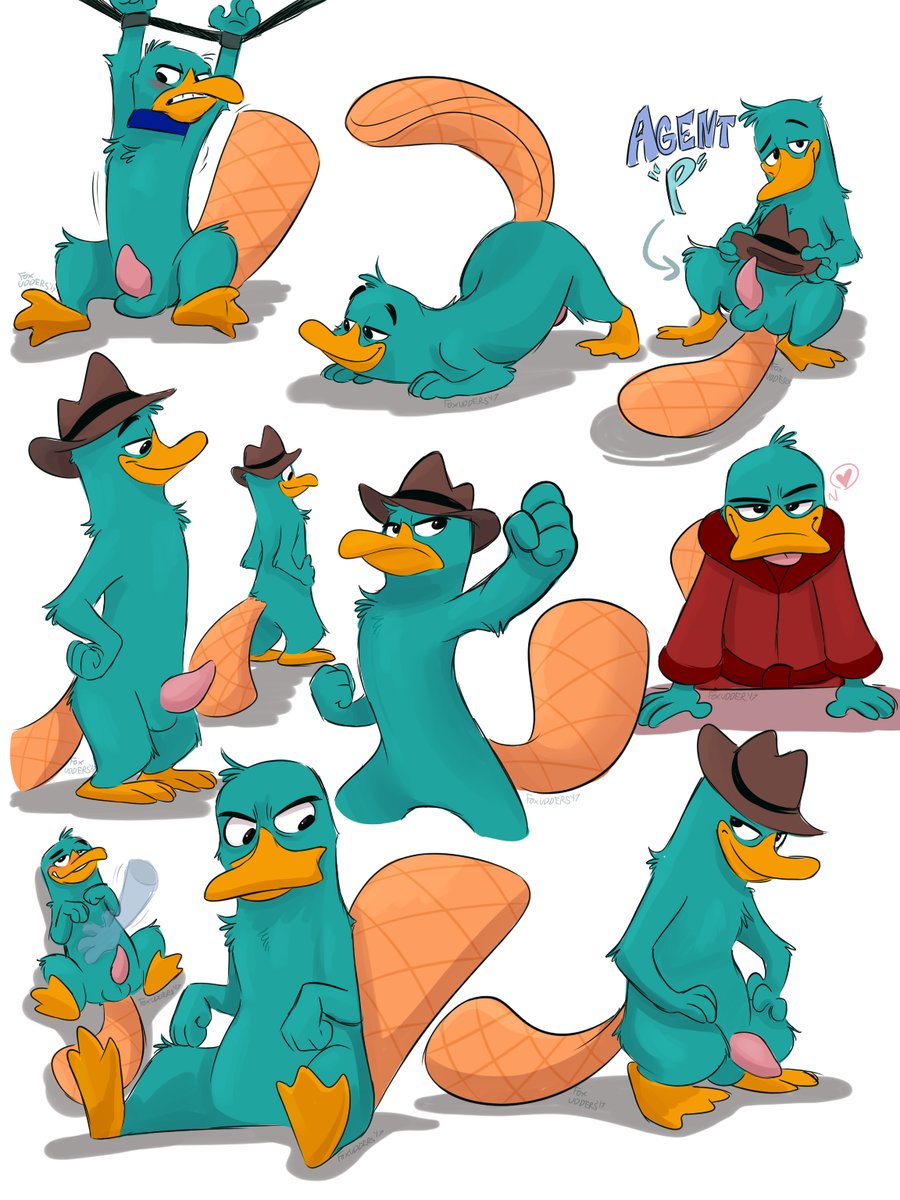 2017 anthro balls bath_robe blush bondage bound clothed clothing collar digital_media_(artwork) erection foxudders hat heart looking_at_viewer male male_only mammal monotreme nude penis perry_the_platypus phineas_and_ferb platypus solo tongue white_background