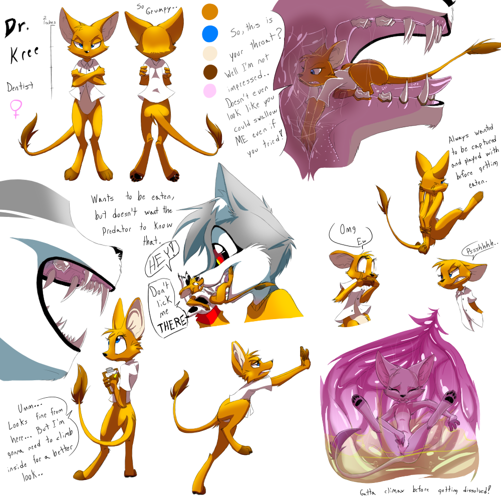 anthro clothing dentist dr._kree eyeofcalamity female fingering furry internal kangaroo marsupial masturbation model_sheet mouse open_mouth oral_vore pussy rodent stomach stomach_acid swallowed_whole vagina vore x-ray