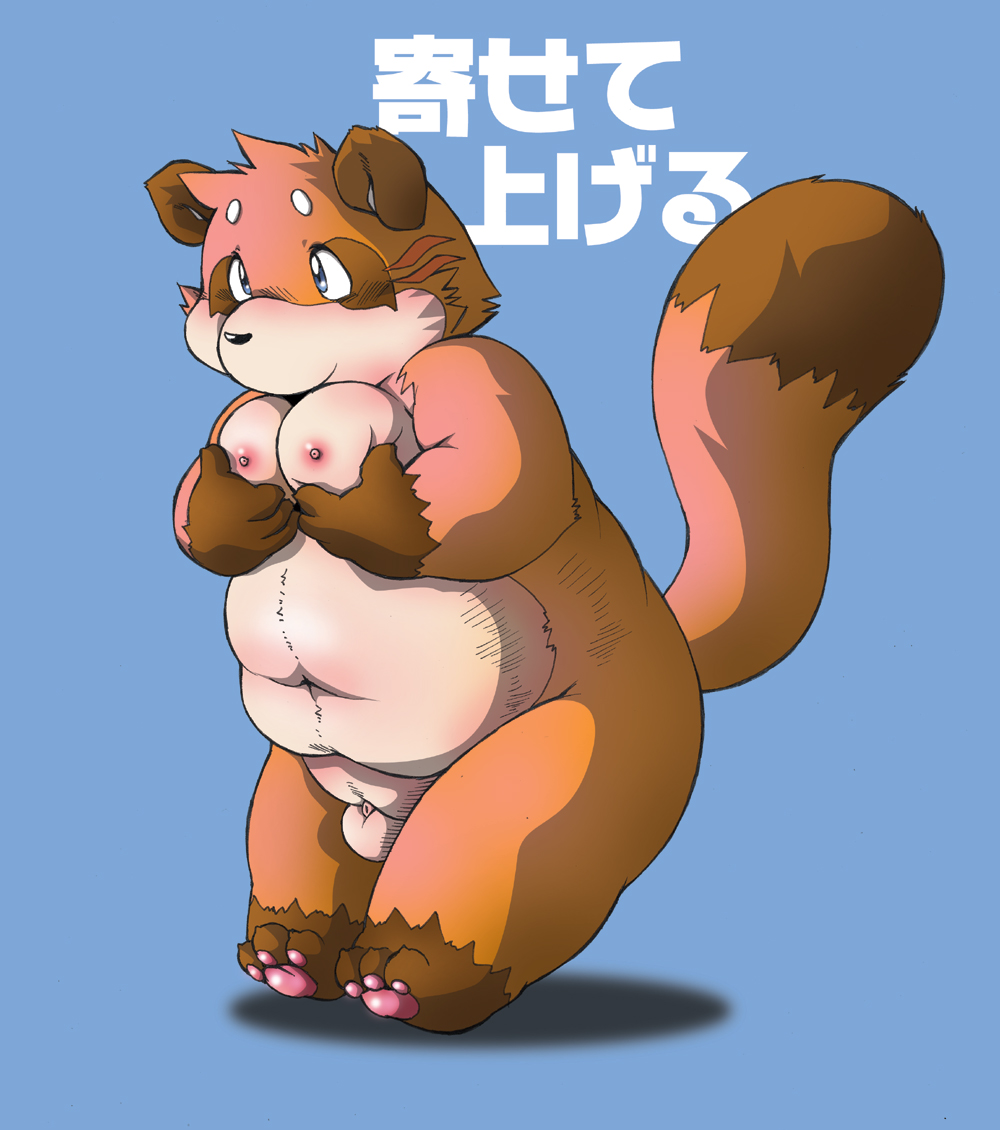 chibineco chubby flaccid japanese_text male_only moobs penis solo tanuki translation_request