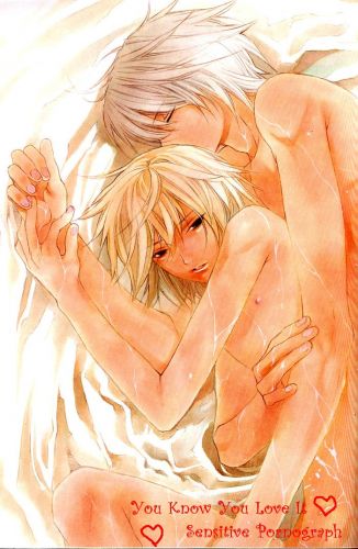 blonde_hair closed_eyes hug lowres sensitive_pornograph silver_hair sweat yaoi