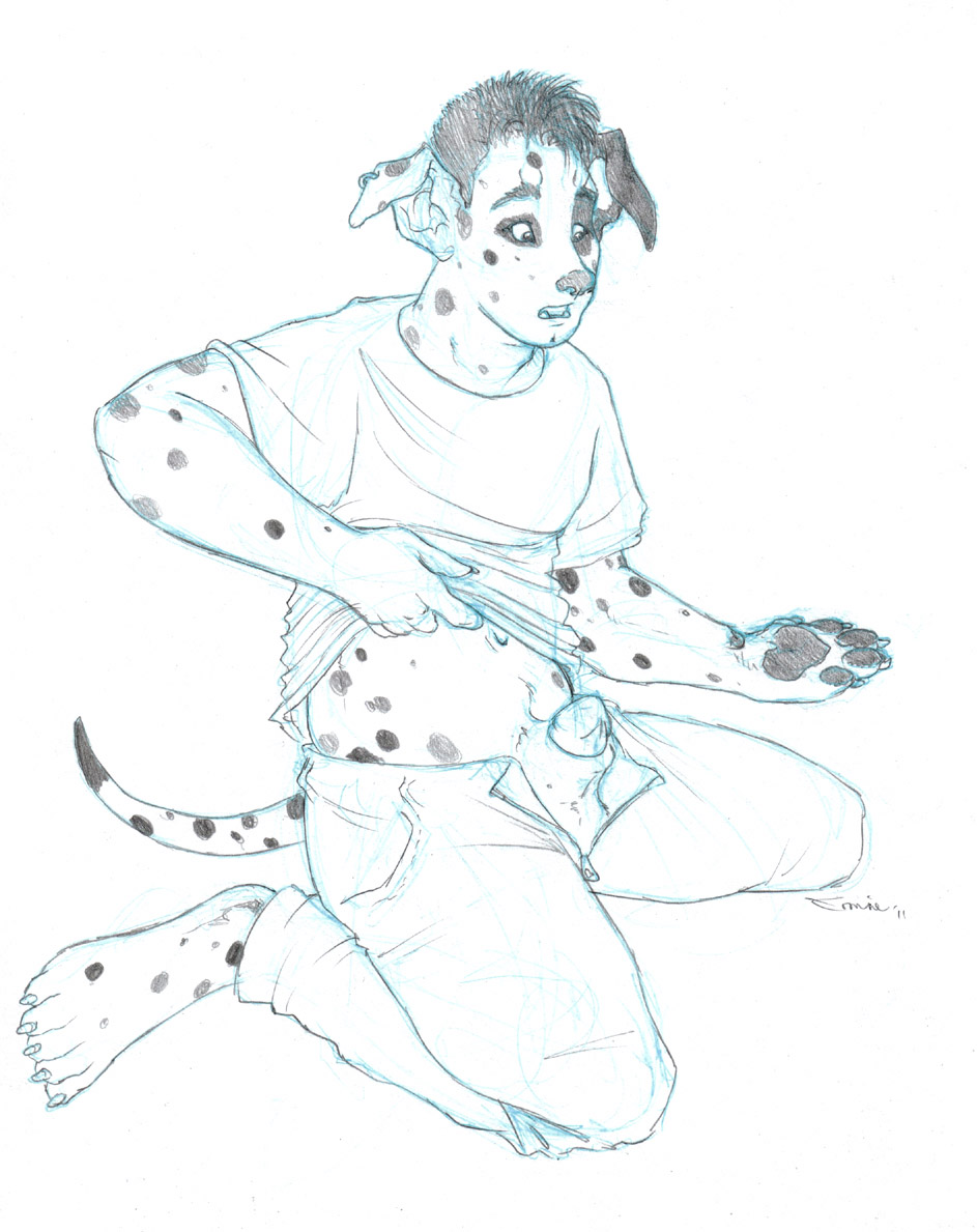 1boy 2011 anthro balls canine dalmatian fur furry male male_only penis sheath solo tail timtam transformation