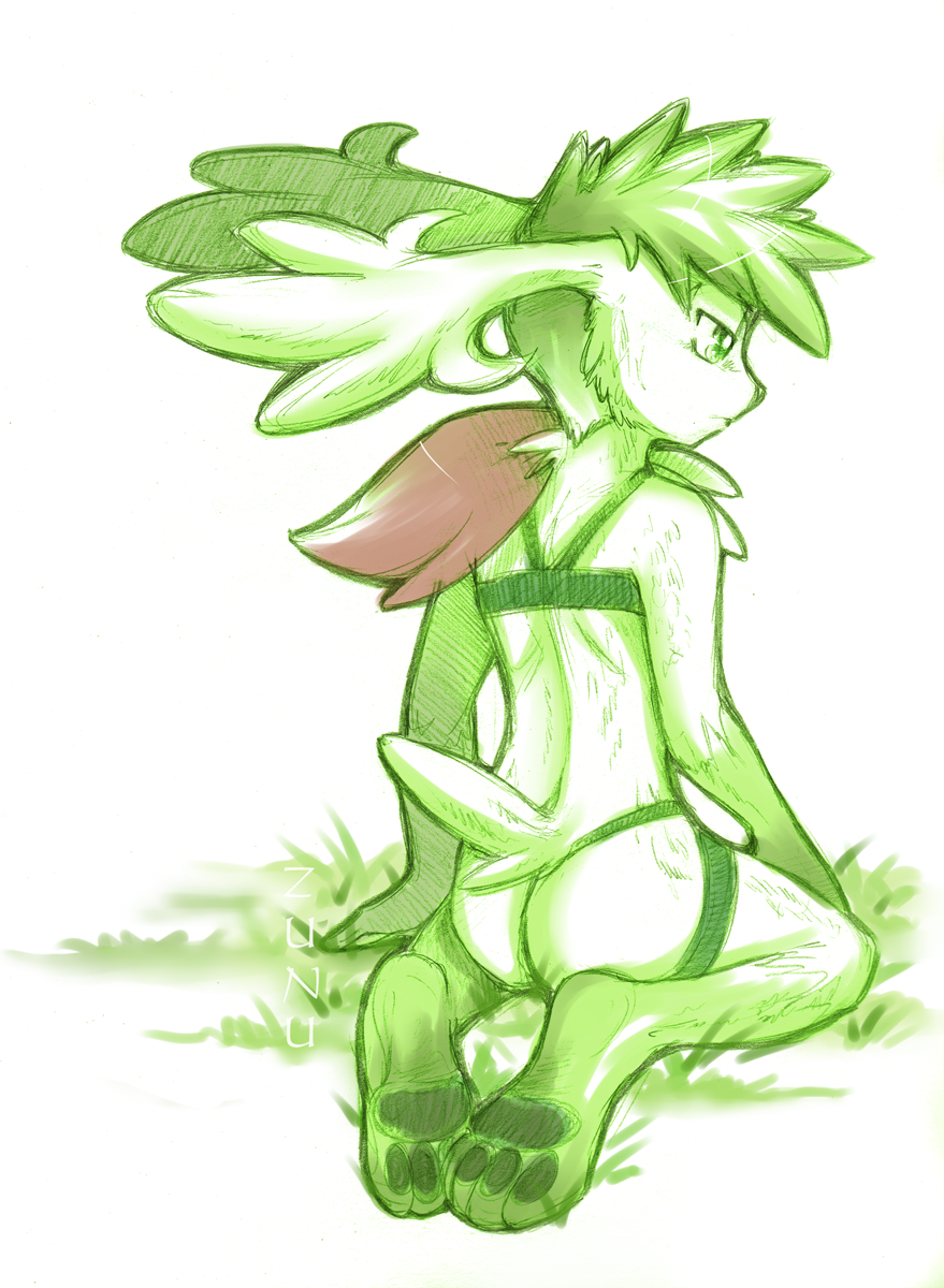 1boy crossdressing girly grass green male male_only pokemon pokemon_(species) shaymin shaymin_(sky_form) solo zunu-raptor