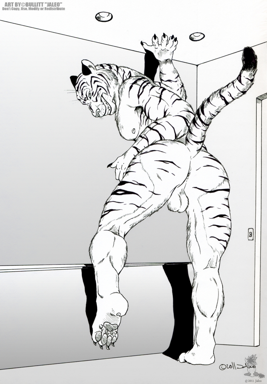 1boy anthro anus ass feline fur furry jaleo looking_at_viewer male male_only muscles nude pose raised_tail solo tail