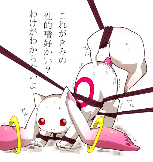 :3 animal bondage bound color crying dildo japanese_text kyuubee long_ear mahou_shoujo_madoka_magica male paws plain_background red_eyes sex sex_toy solo spread_legs spreading tail tears translation_request white_background