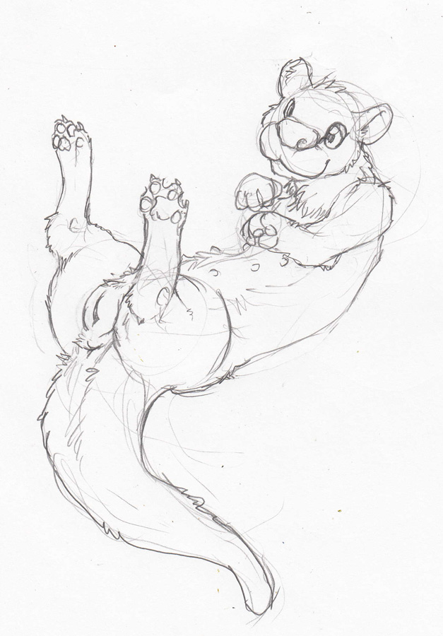 2011 anus female feral nullenigma on_back otter pussy sketch solo