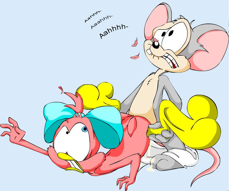 anthro avian bird female furry male mammal mouse pink_body rodent sex sneezer straight sweetie_bird tagme tiny_toon_adventures young