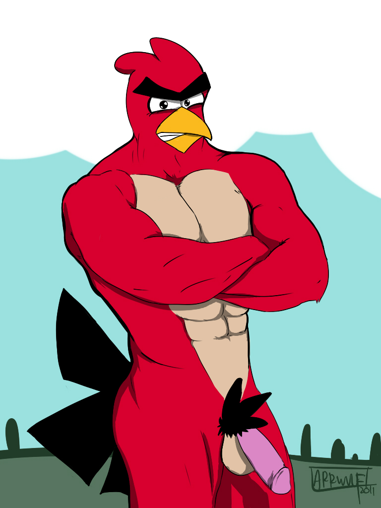 1boy angry_birds avian balls bird looking_at_viewer male male_only nude penis red_(angry_birds) rovio sega solo