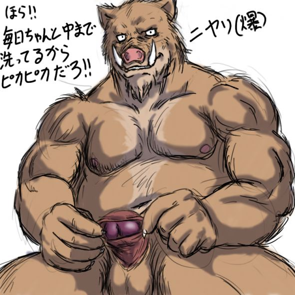 1boy 1male anthro balls ballsack beard beefy boar body_hair bomb_(artist) foreskin foreskin_stretch hairy hairy_male holding_foreskin humanoid_penis intact looking_at_viewer male male_nipples male_only masculine mature_male musclegut muscles muscular muscular_male nipples nude nude_male partially_retracted_foreskin pecs penis porcine scrotum solo spread_legs testicles tusks uncut