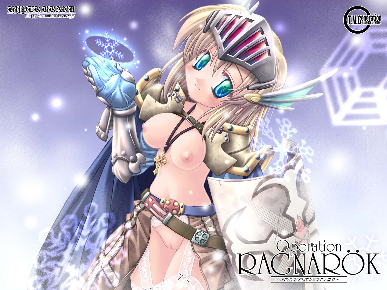 armor belt blonde_hair breasts cape cat_ears cross crusader female garter_belt highres ishihara_masumi nipples nude pussy ragnarok_online shield slit_visor smile snowflake solo visor_(armor) wallpaper