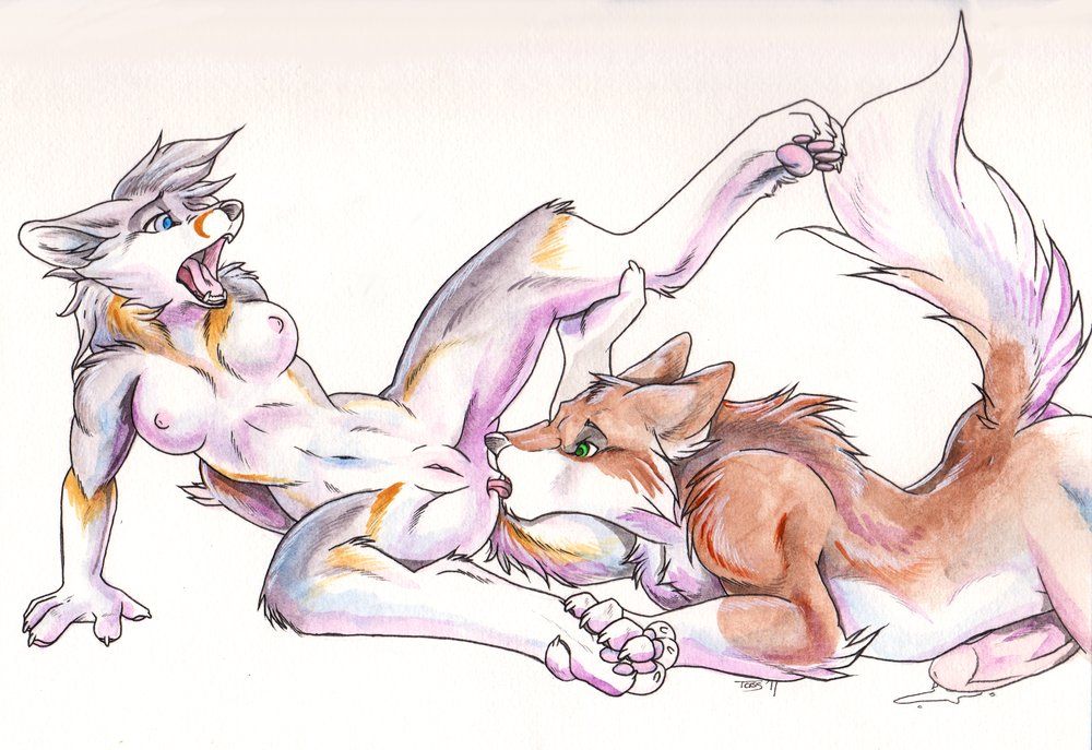 2011 anal anthro anus breasts canine cum female fox fur furry licking male nude on_back on_front oral penis pussy raised_leg rimming sex spread_legs spreading straight tassy tongue