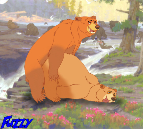 anal bear brother_bear disney doggy_style feral feral_on_feral from_behind furry furry_only fuzzybaloo gay kenai male male_only sex top-down_bottom-up