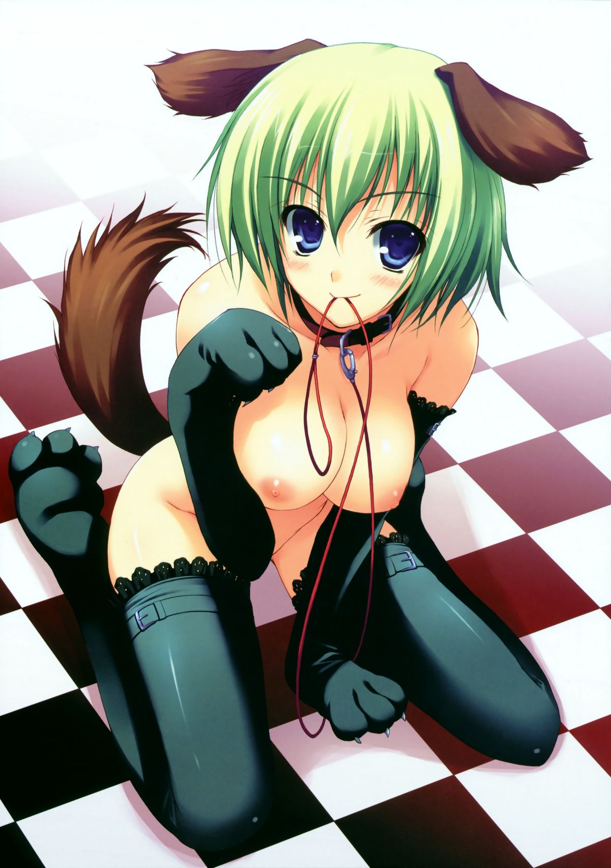 1girls animal_ears bb big_breasts blue_eyes breasts collar cute dog_ears dog_tail doggirl female female_only green_hair hair highres large_breasts leash no_panties short_hair solo tail thighhighs tomose_shunsaku