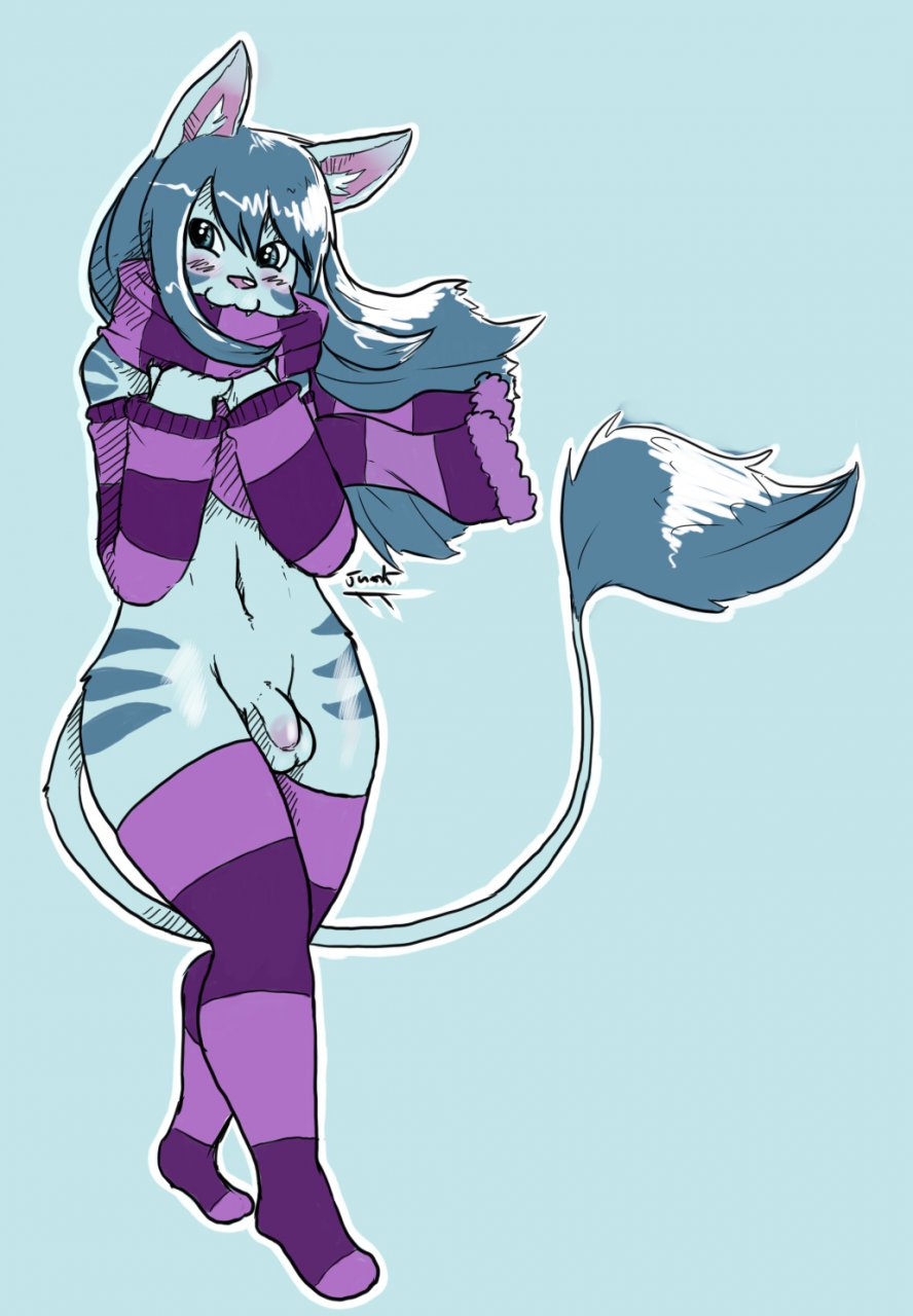 2011 anthro arm_warmers blue_eyes blue_hair canine feline fox foxcat fur furry hair junkyarddog long_hair male male_only mammal penis scarf stockings stripes tail vaerinn wide_hips