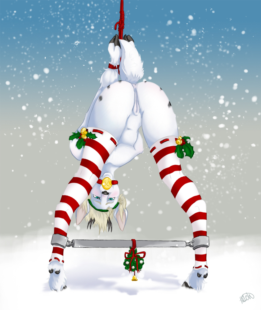 anthro anus ball_gag bells bondage bound christmas color cuntboy day festive fur furry furry_only gag holidays intersex micahchu mitchi outdoors pussy rope snow spreading