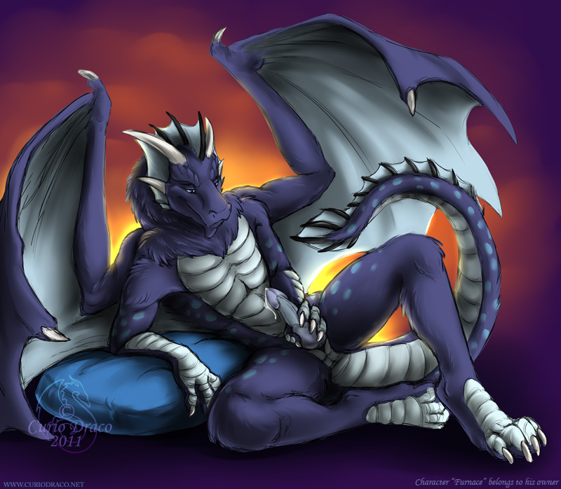 curiodraco dragon furnace furnacedragon lying male