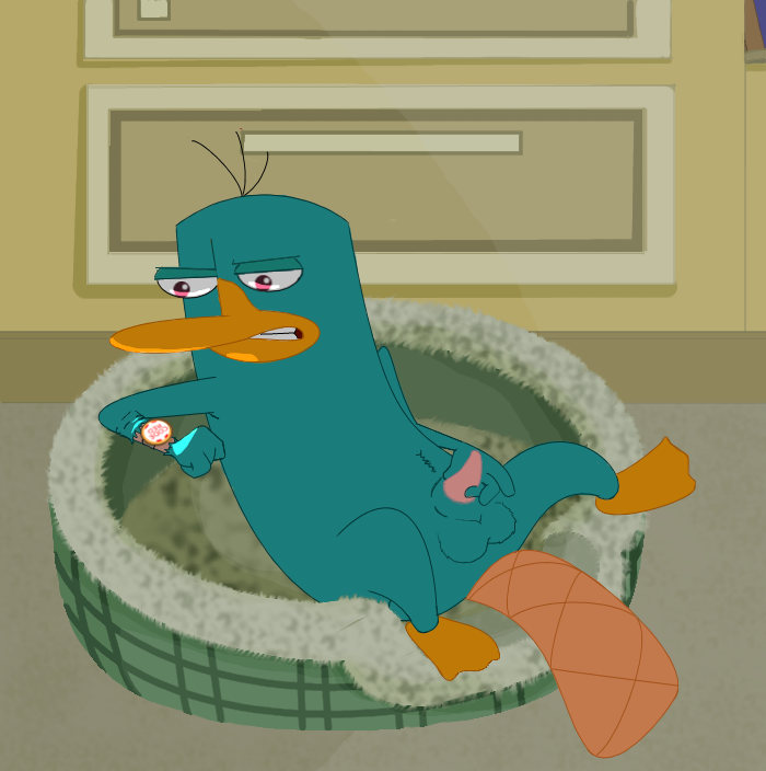 disney fur male male_only mammal masturbation monotreme penis perry_the_platypus phineas_and_ferb platypus solo tagme testicles