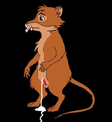 cum martin redwall tagme