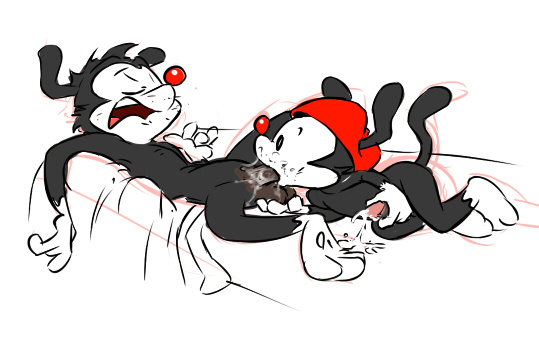 animaniacs balls cum fellatio furry furry_only gay hat ishoka male no_humans oral oral_sex original_character penis sex sleeping wakko_warner