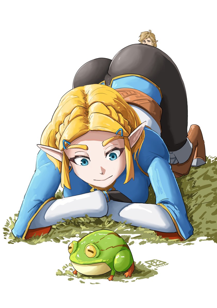 Link (Tears Of The Kingdom) Rule 34 Image