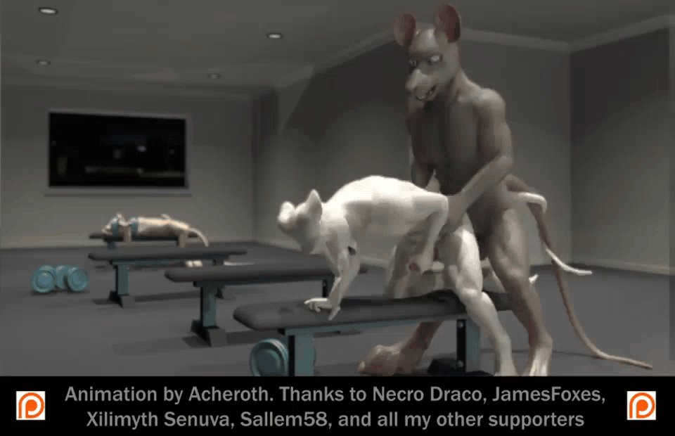 anal anal_penetration anal_sex animated bent_over furry furry_male furry_only gay gay_anal gay_domination gay_male gay_sex gif gym male/male male_only male_penetrating_male masturbation public public_nudity public_sex rat stroking stroking_cock stroking_penis working_out