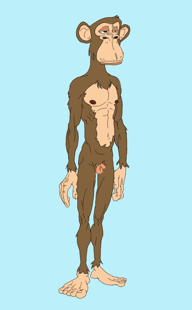 anthro ape chimpanzee exhibith exhibitionism exibicionismo feral haplorhine humanoid macaco male male/male mammal monkey natural nft_monkey nu nude nudez pan_(genus) pelado primate secretrac solo