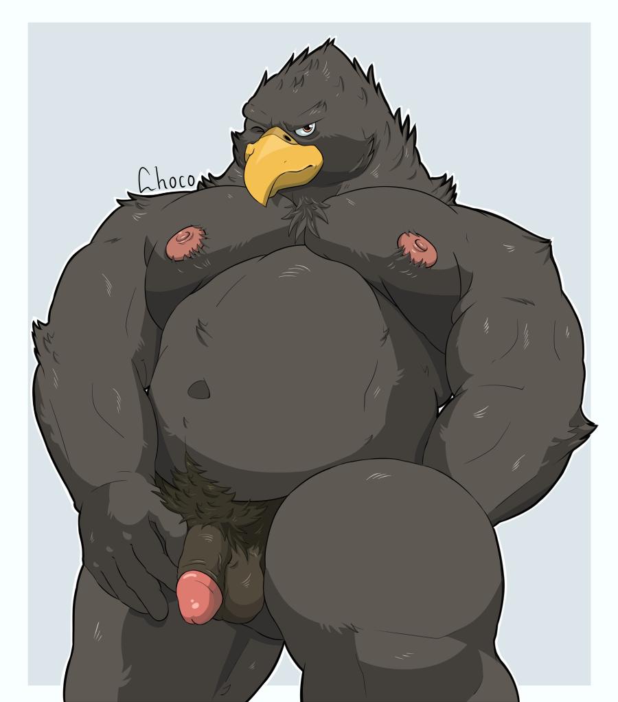 2019 5_fingers accipitrid accipitriform anthro artist_name artist_signature avian balls beak belly biceps big_biceps big_muscles big_pecs bird black_hair black_penis blinking brown_fur chococlass colored eagle feathers fingers fur hair hand_behind_back humanoid_penis looking_at_viewer male male_only mature_male musclegut muscular muscular_male nipples pecs penis pink_nipples pubes simple_background slightly_chubby solo vein veiny_penis