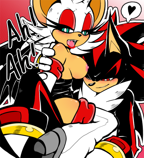 bat blush breasts duo english_text female heart hedgehog male mammal nipples rouge_the_bat sex shadow_the_hedgehog sonic_(series) straight sweethellgirl text