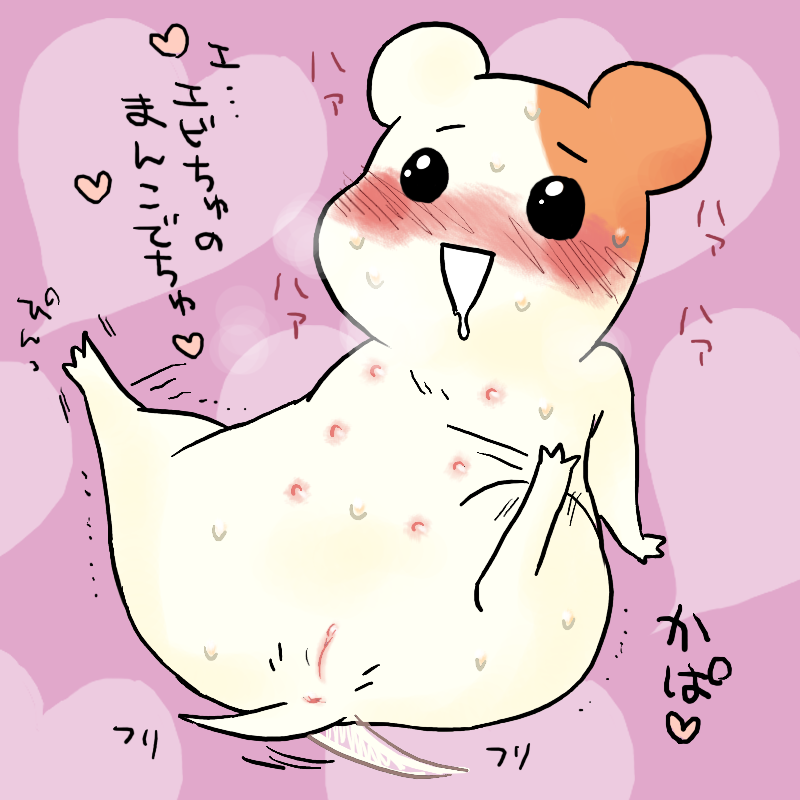 1girls anthro anus blush drooling ebichu female hamtaro_(series) oruchuban_ebichu pussy small_breasts smile solo translation_request wagging_tail