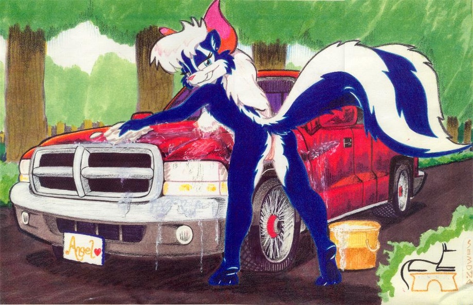 angel_(character) anubis_(artist) anus beiro blue_eyes blue_fur breasts car_wash dodge dodge_dakota_extended_cab female looking_at_viewer looking_back nude pussy skunk solo truck