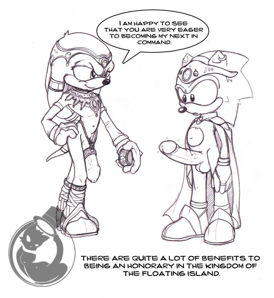 anthro dialog echidna erection fur furry hedgehog interspecies jewelry knuckles_the_echidna male male_only monochrome multiple_males neokat penis side_view sonic_(series) sonic_the_hedgehog standing tagme yaoi