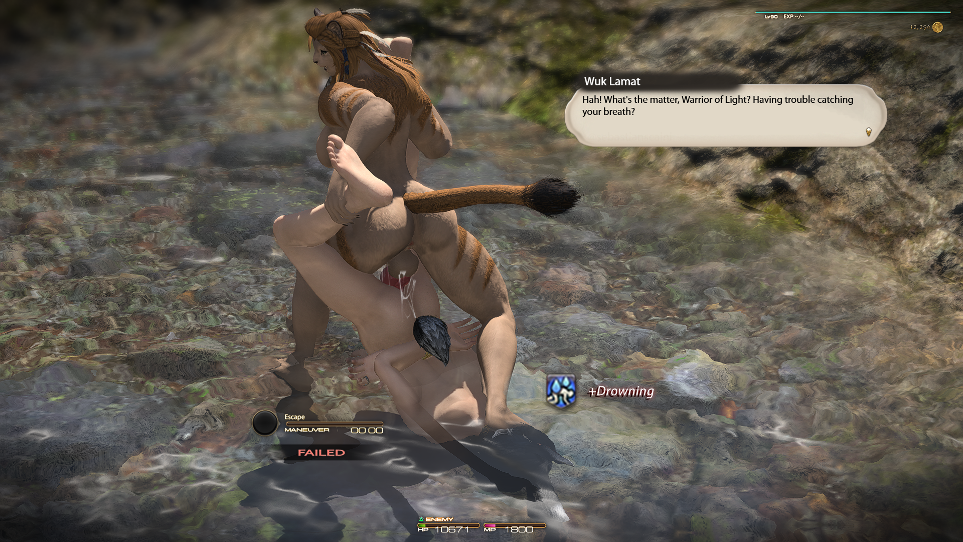 3d, amazon position, drowning, final fantasy xiv, futa on male, futanari, hrothgar, imminent death, intersex, male, rape, rope, rope bondage, sex, triata, viera, water, wuk lamat