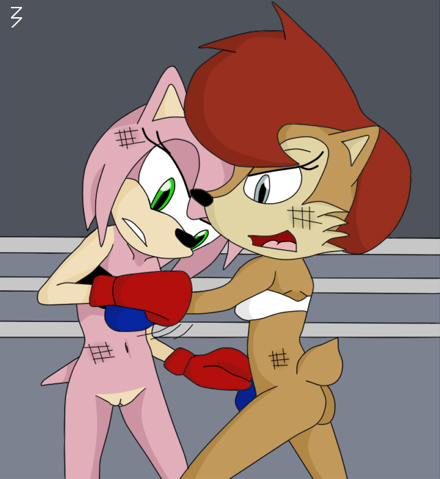 3pac amy_rose anthro ass bottomless boxing brown_fur chipmunk clothes color female female_only fur furry furry_only green_eyes hedgehog interspecies multiple_females pink_fur sally_acorn short_hair sonic_(series) standing uncensored vulva