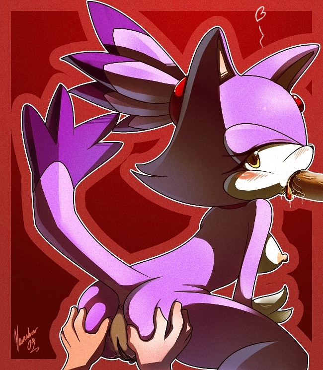 2009 anthro ass_grab blaze_the_cat cat cum erection facial feline fellatio female fur furry male mammal nancher oral penis purple_fur sega sonic_(series) sonic_the_hedgehog_(series) straight straight_hair white_fur