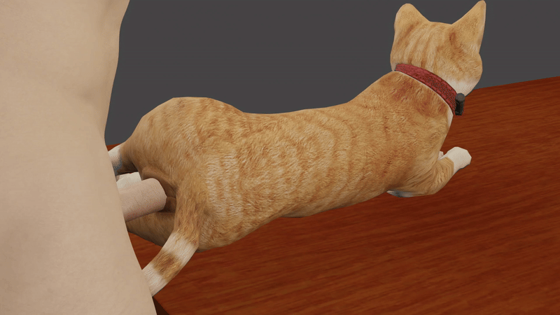 3d (artwork), 3d animation, a cat is fine too, ambiguous feral, ambiguous gender, ambiguous penetrated, anal, anal sex, animated, anus, ass, blender (artwork), blender eevee, collar, digital media (artwork), domestic cat, duo, felid, feline, felis, feral, feral penetrated, fur, furniture, genitals, grey background, head out of frame, hi res, human, human on feral, human penetrating, human penetrating ambiguous, human penetrating feral, humanoid genitalia, humanoid penis, interspecies, jiggling, larger human, larger male, loop, male, male human, male on feral, male penetrating, male penetrating ambiguous, male penetrating feral, male/ambiguous, mammal, multicolored body, multicolored fur, no sound, on table, onoono, orange body, orange fur, paws, penetration, penile, penile penetration, penis, penis in ass, red collar, sex, shane dawson, short playtime, simple background, size difference, smaller ambiguous, smaller feral, smaller penetrated, table, thigh jiggle, two-tone body, two-tone fur, white body, white fur, wood, wood furniture, wood table, zoophilia