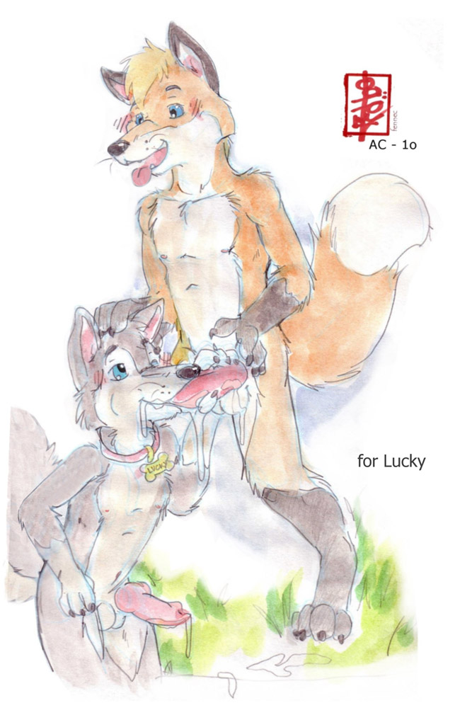 2010 anthro canine canine_penis collar cum fellatio fennec_(artist) fox fur furry furry_only gay knot luckywolf male nude oral oral_sex penis sex sketch sucking wolf