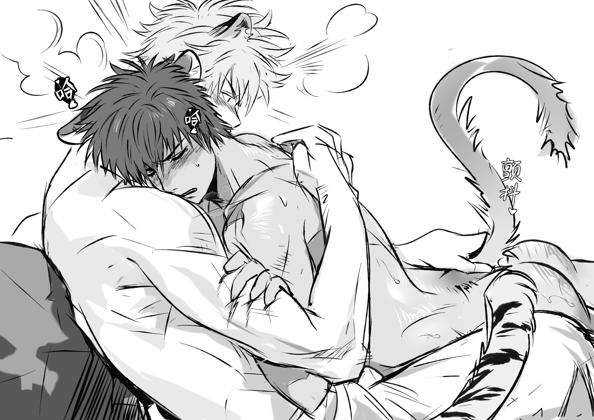 2boys, blush, cat ears, cat tail, catboy, completely nude, embrace, gay, gintama, gintoki sakata, hijikata toshiro, in heat, kemonomimi, male, male only, monochrome, no visible genitalia, nude, sapomu4, scratches, scratching, sweat, tiger boy, tiger ears, tiger tail, yaoi