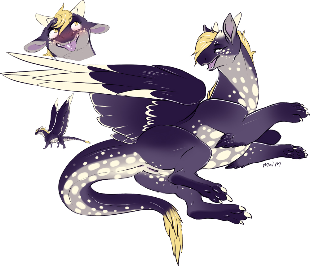 anus chubby derp dragon female feral horn looking_at_viewer maim pussy solo wings
