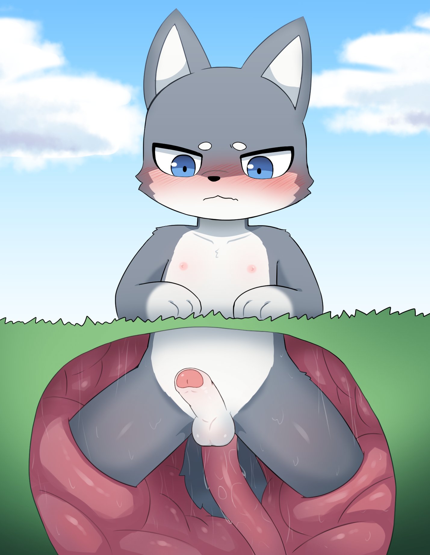 anal, anal sex, anthro, anthro penetrated, balls, blue eyes, blush, canid, canine, foreskin, fur, gay, genitals, glans, grass, grey body, grey ears, grey fur, hi res, kankaku shadan, male, male penetrated, mammal, multicolored ears, nipples, nude, penetration, penis, pink glans, pink nipples, pink tentacles, plant, sex, sum, tentacle, tentacle in ass, tentacle penetration, tentacle sex, unawareacles, uncensored, uncircumcised, white body, white fur, white inner ear