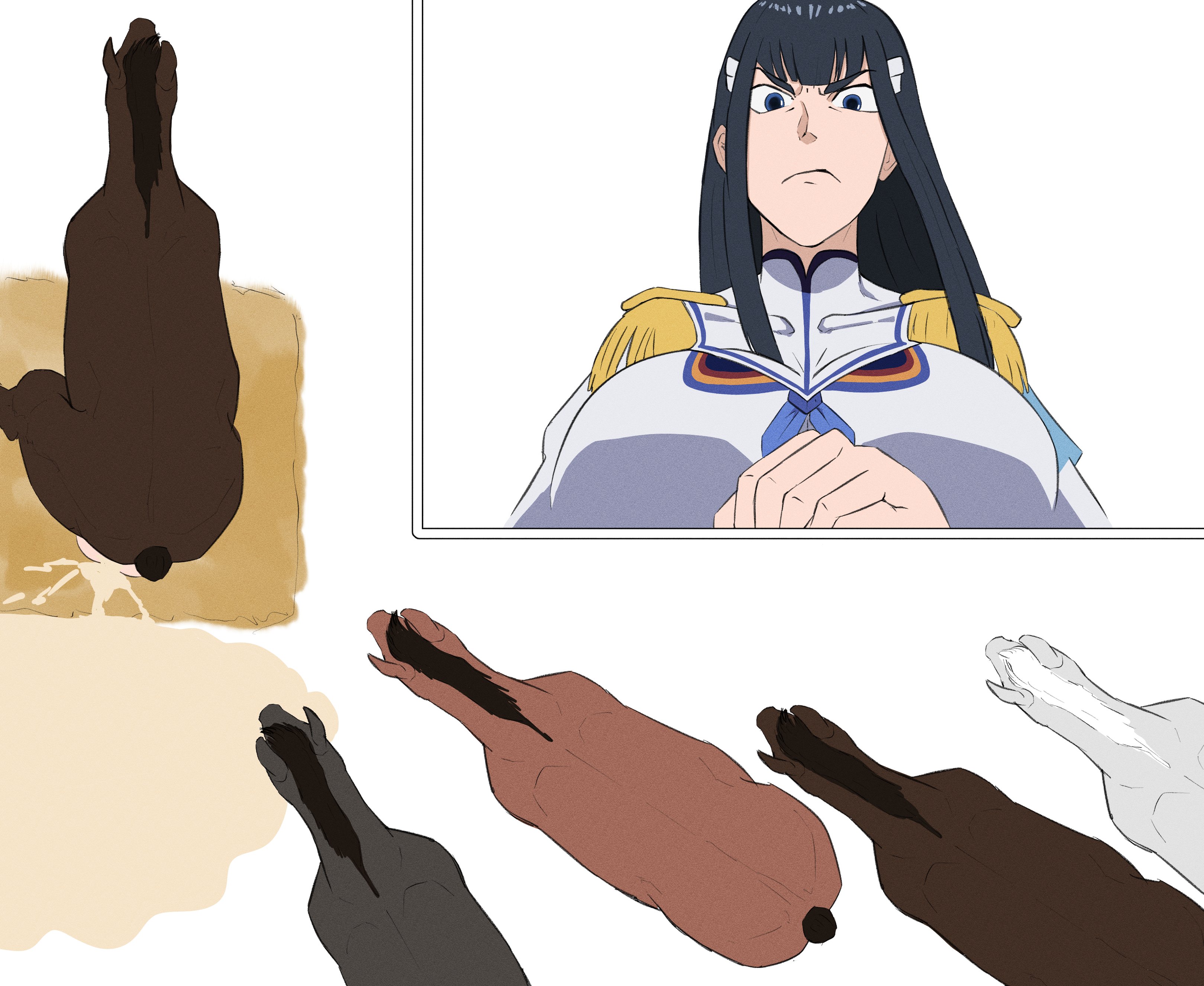 1girls, 5boys, after sex, balls, black hair, blush, breasts, cum, cum in pussy, excessive cum, female, horse, huge breasts, kill la kill, kiryuuin satsuki, long hair, looking at viewer, lying, male, multiple boys, multiple males, nakaze005, penis, pussy, sex, testicles, zoophilia