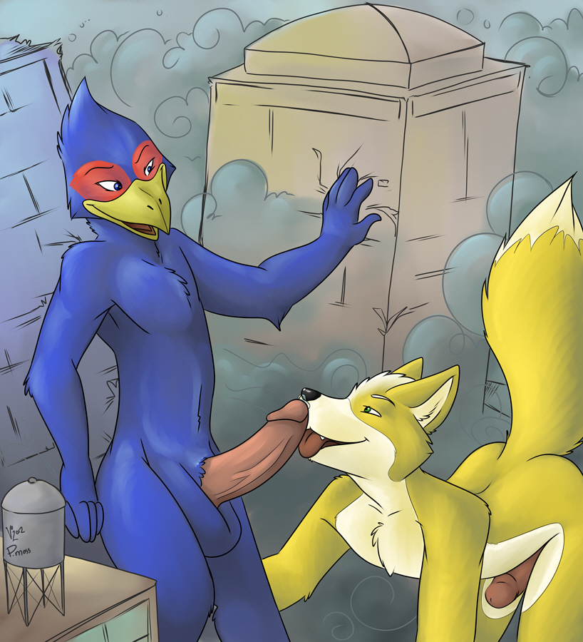 anthro avian canine falco_lombardi fellatio fox fox_mccloud fur furry macro male male_only multiple_males nintendo oral oral_sex p_moss precum sex star_fox video_games yaoi