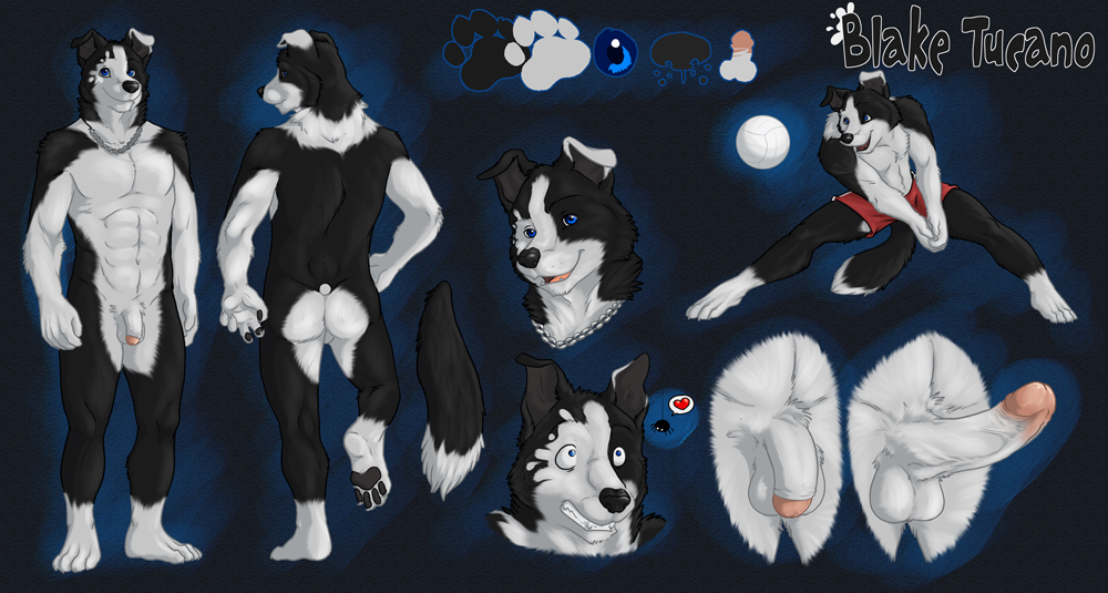 1boy anthro ass athletic ball balls black blake blotch_dog border_collie canine clothes eclipsewolf erection fur furry heart male male_only model_sheet penis shorts solo spider tucano tucpile volleyball white_fur