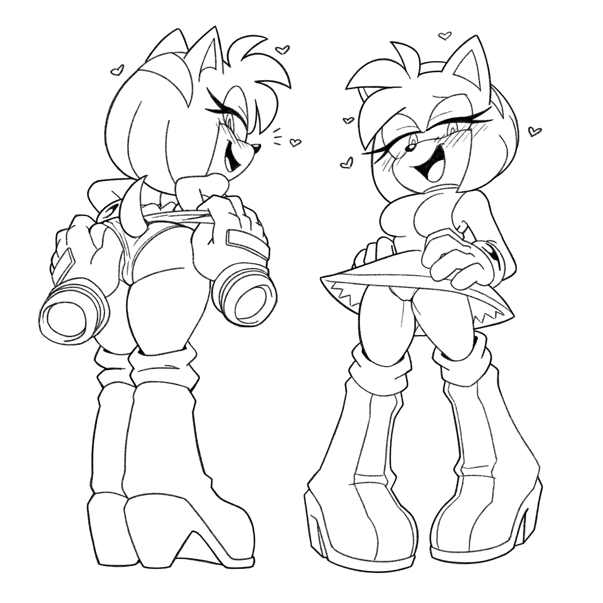 amy rose, female, furry, sega, shenadical, sonic (series)