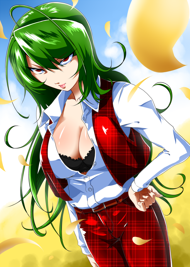 2d big_breasts bra breasts female green_hair huge_breasts kazami_yuuka large_breasts mattari_yufi red_eyes simple_background solo touhou yuka_kazami